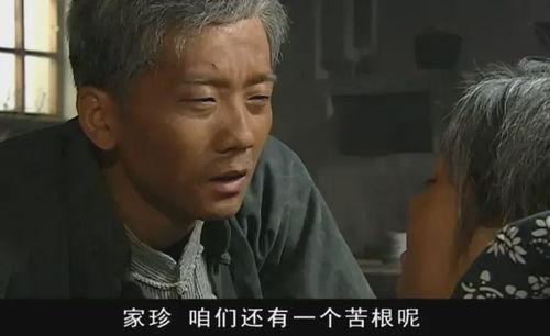 演员家珍,光影交织的银幕传奇